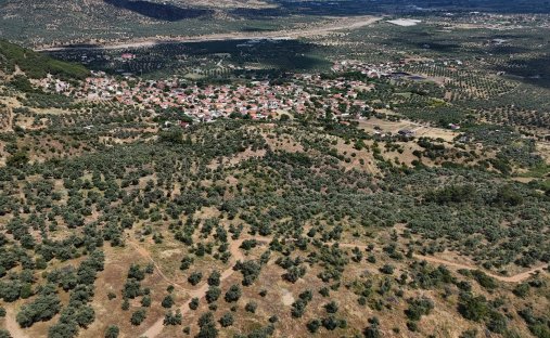 Land in İzmir, Bayındır, Turkey 1