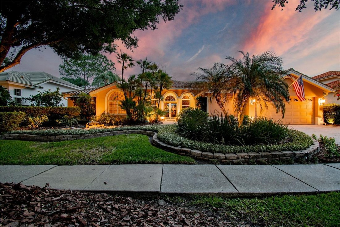 House in Tampa, Florida, United States 3 - 18694778