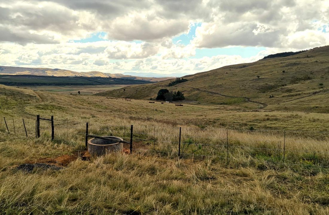 Farm Ranch in Donnybrook, KwaZulu-Natal, South Africa 5 - 18694875