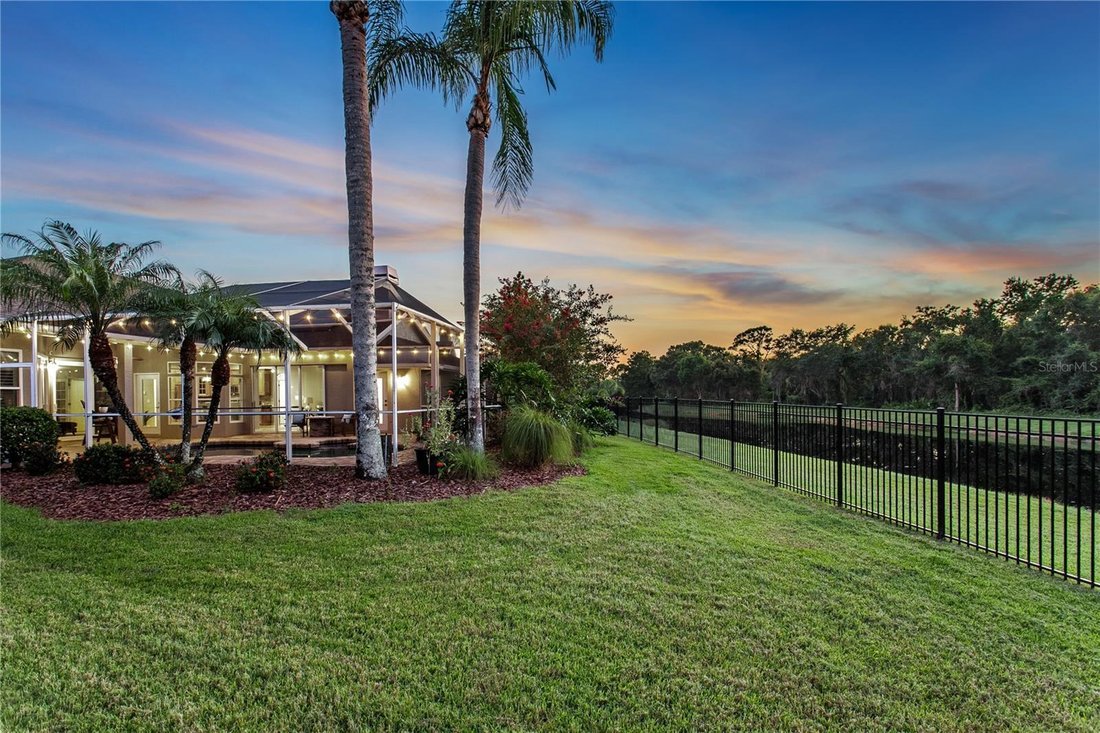 House in Tampa, Florida, United States 5 - 18694765