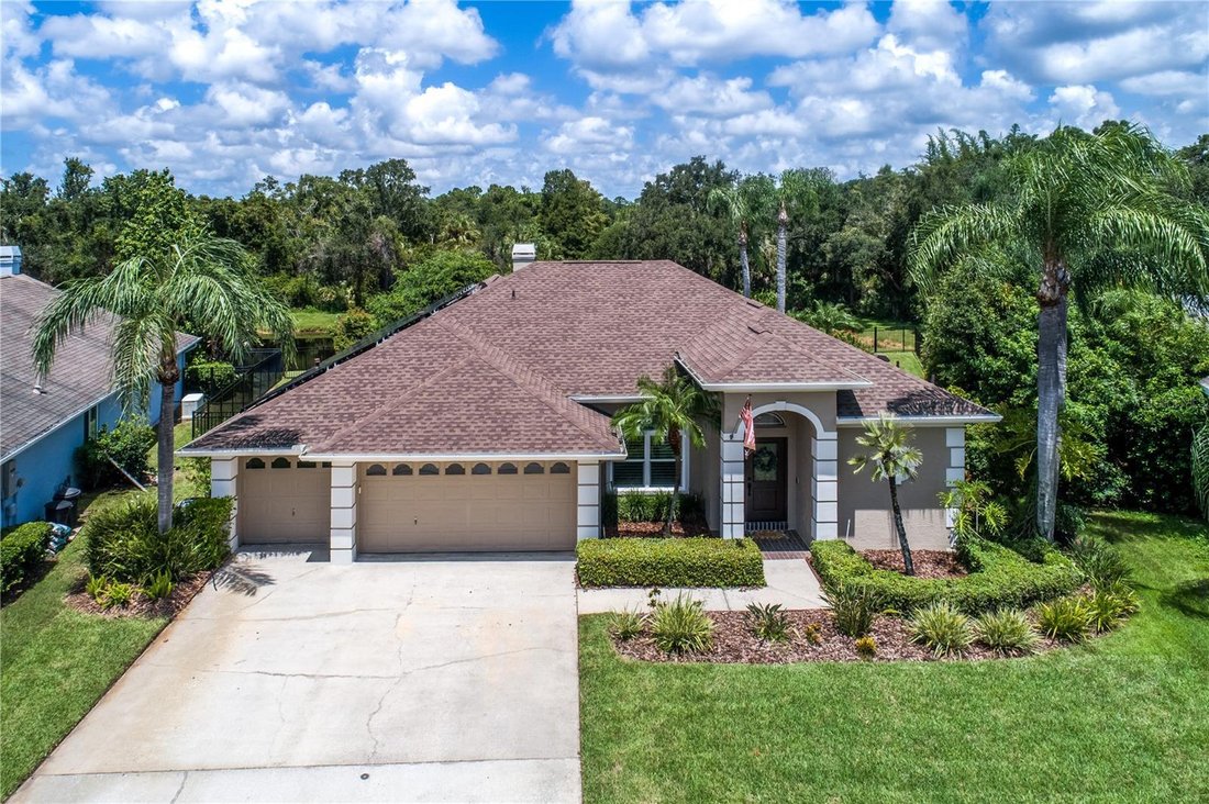 House in Tampa, Florida, United States 1 - 18694765