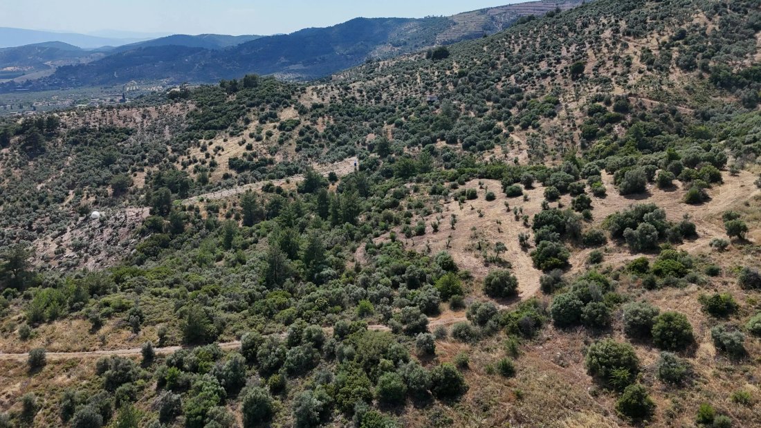 Land in İzmir, Bayındır, Turkey 3 - 18695246