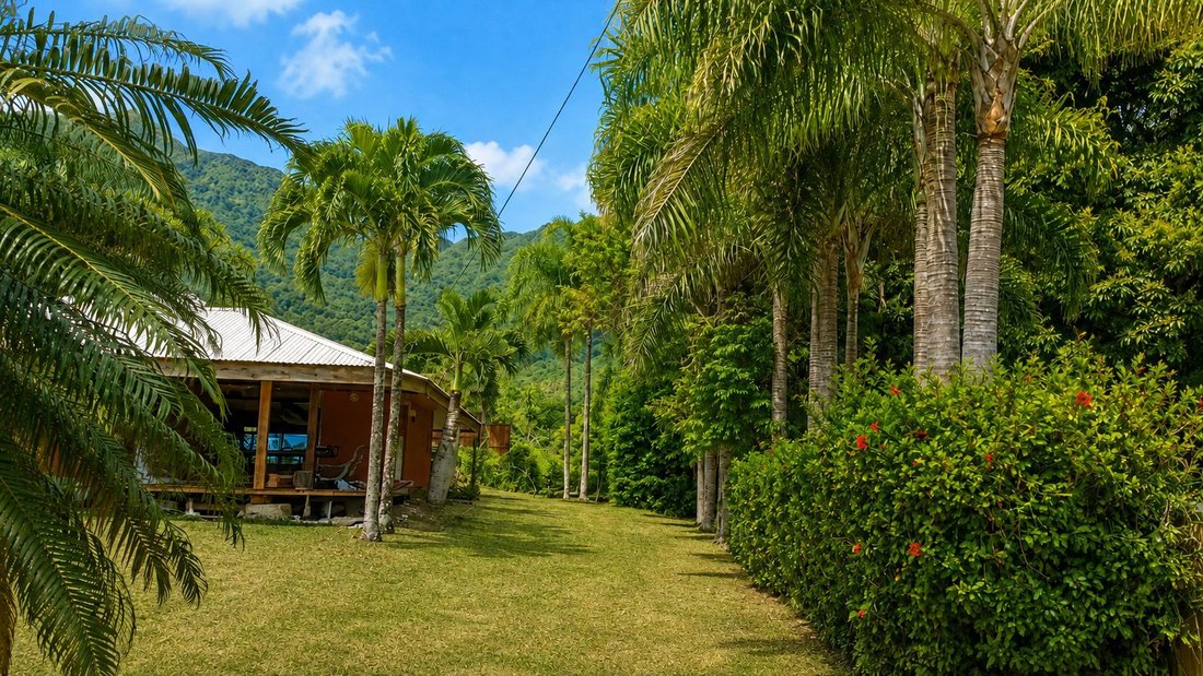 House in Moorea-Maiao, Windward Islands, French Polynesia 2 - 18695432