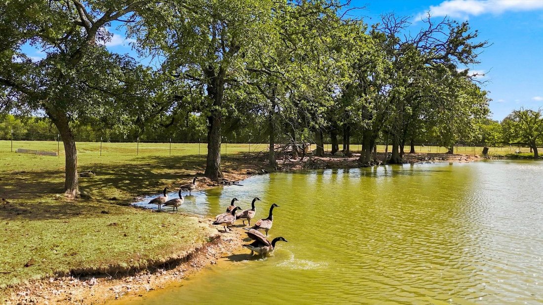 House in Bartonville, Texas, United States 5 - 18694252
