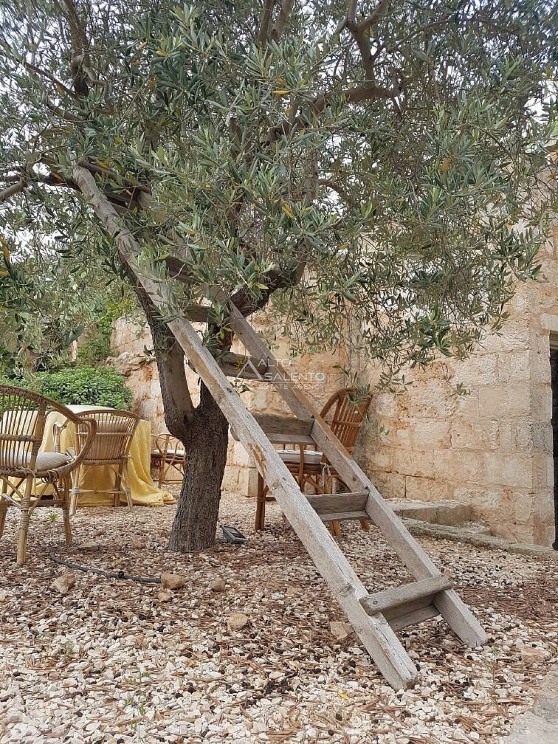 Estate in Selva di Fasano, Apulia, Italy 5 - 18695236