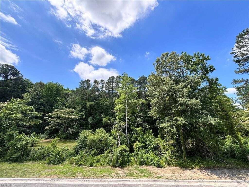 Condo in Chesapeake, Virginia, United States 1 - 18694897