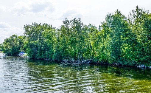 Land in Turtle River Township, Minnesota, Vereinigte Staaten 1