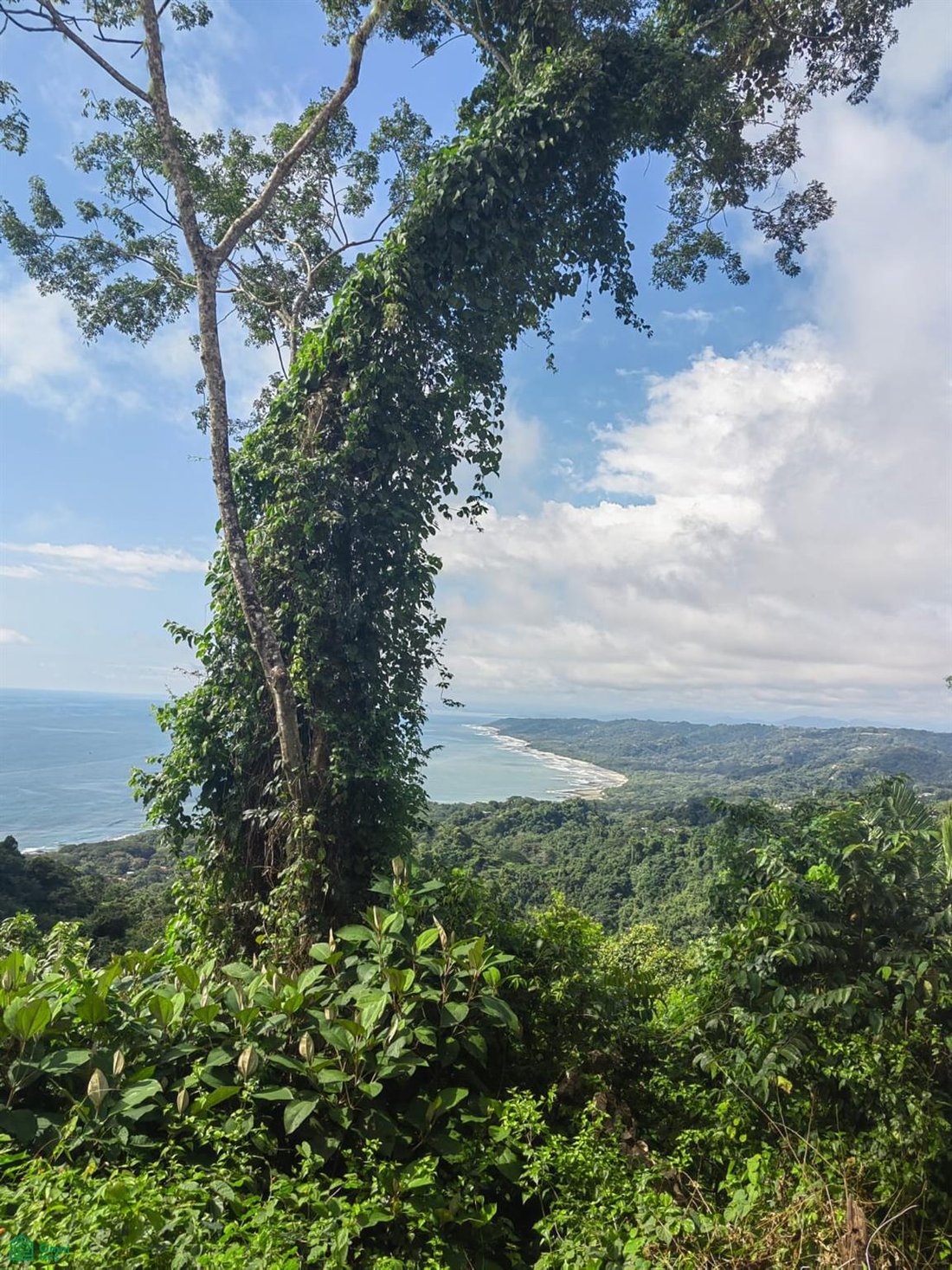 Terreno en Malpaís, Provincia de Puntarenas, Costa Rica 4 - 18650707