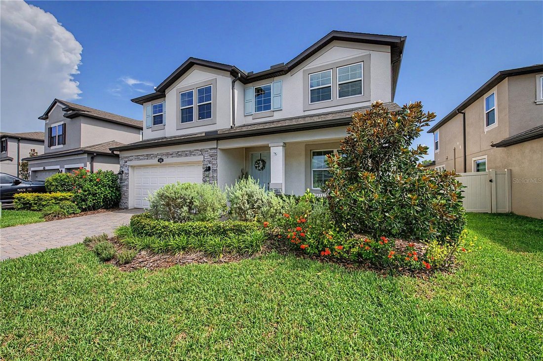 House in Land O' Lakes, Florida, United States 3 - 18694742
