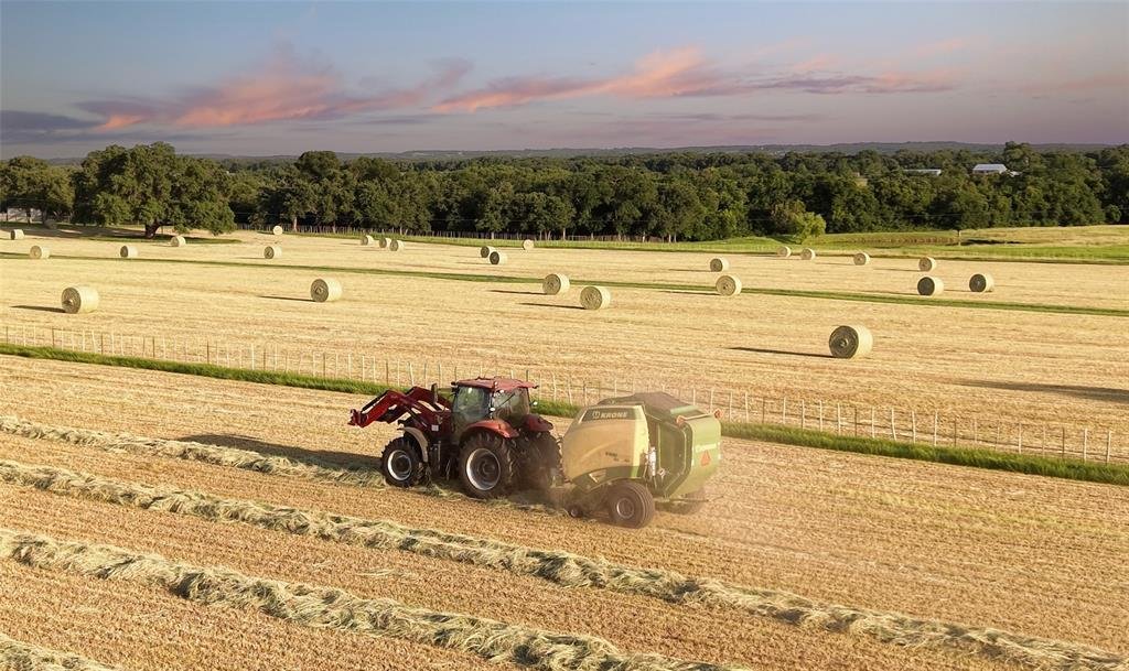 Farm Ranch in Stephenville, Texas, United States 4 - 18690819