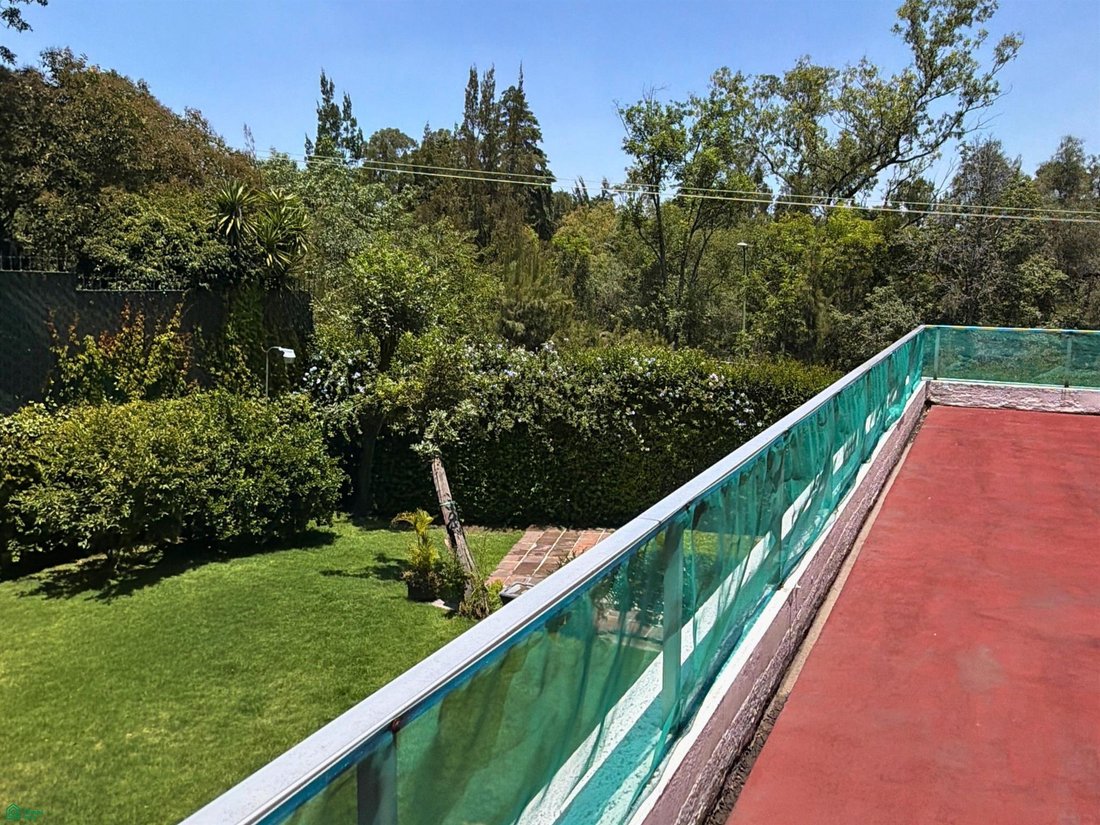 House in Mexico City, Mexico 5 - 18695197