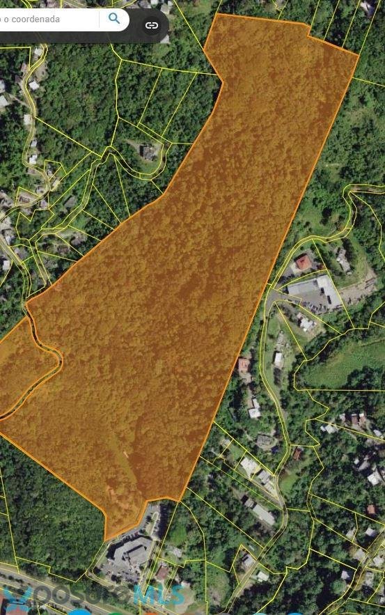 Land in Naranjito, Naranjito, Puerto Rico 1 - 18694829