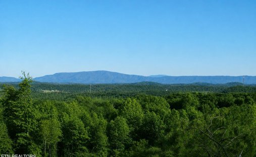 Terreno a Cleveland, Tennessee, Stati Uniti 1