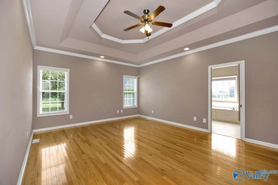 House in New Market, Alabama, United States 5 - 18694352
