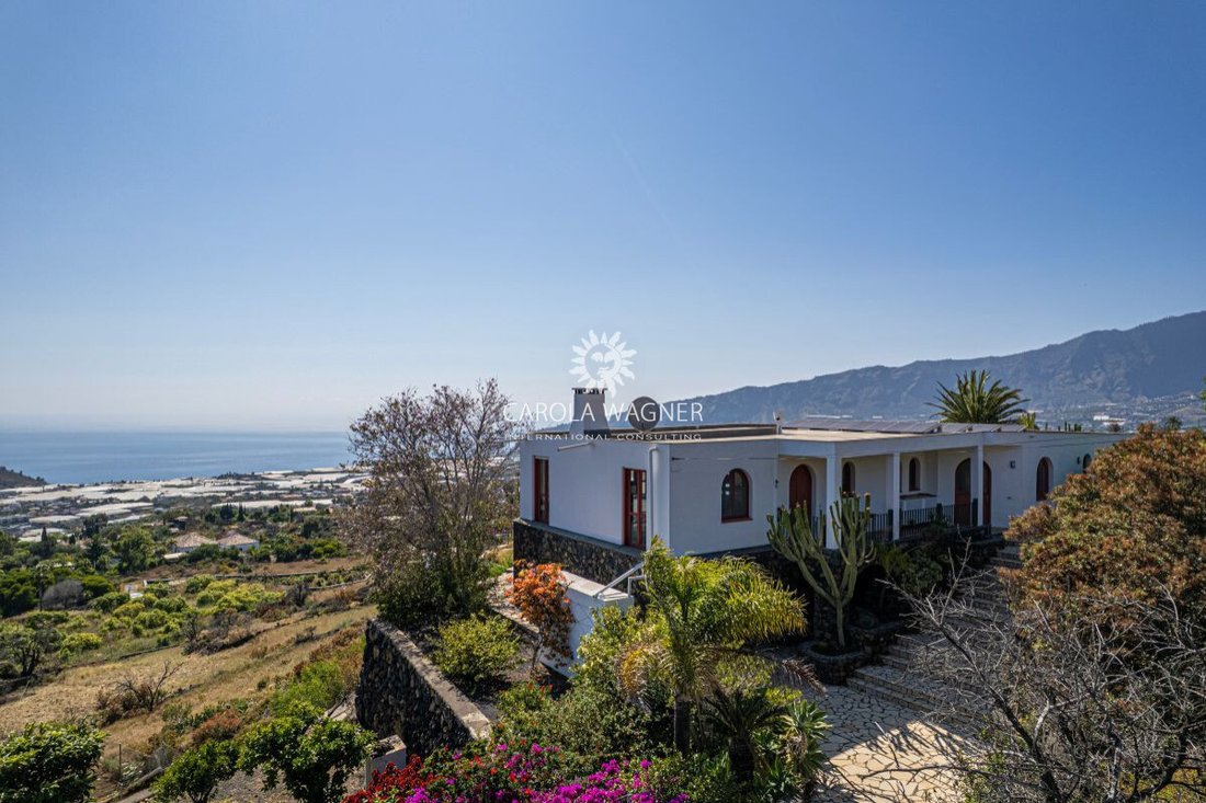 Villa in Los Llanos de Aridane, Canary Islands, Spain 1 - 18695822