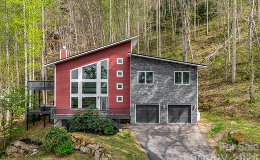 House in Asheville, North Carolina, United States 1