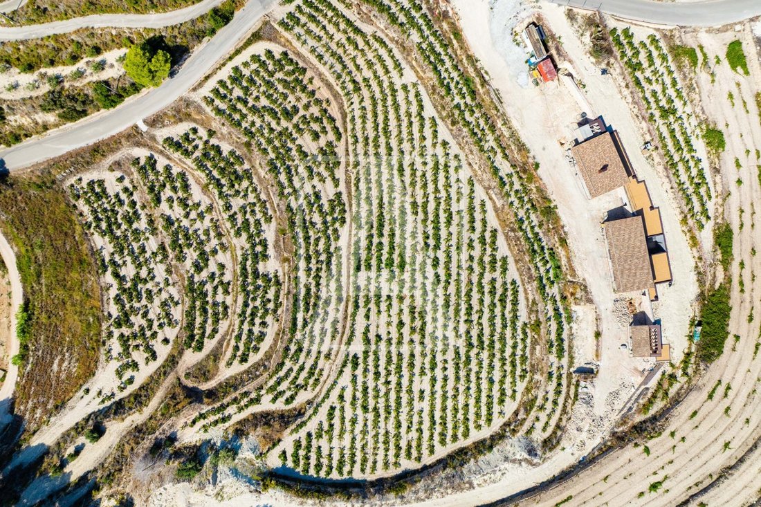 Finca in Moraira, Teulada, Valencian Community 3 - 16937932