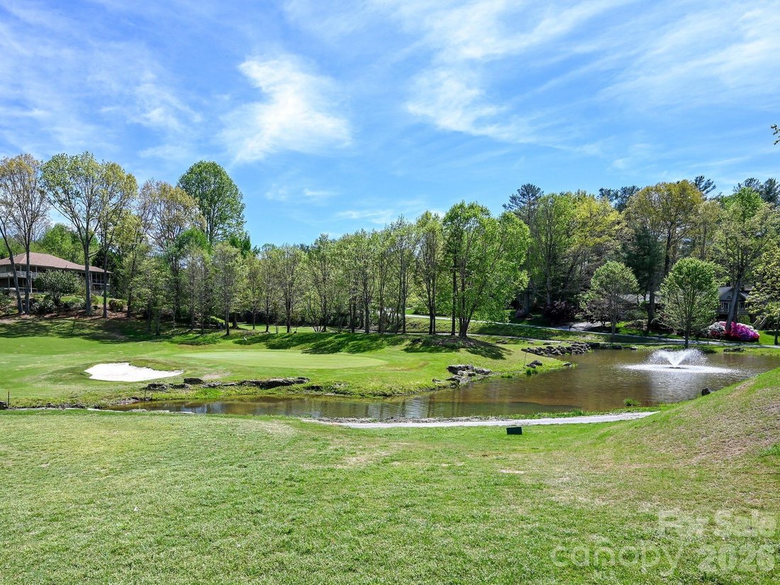 Townhouse in Laurel Park, North Carolina, United States 3 - 18695694