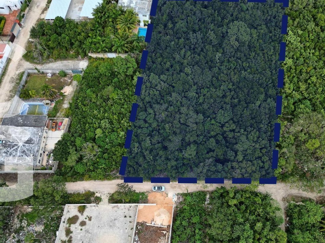 Land in Chetumal, Quintana Roo, Mexico 5 - 18695527