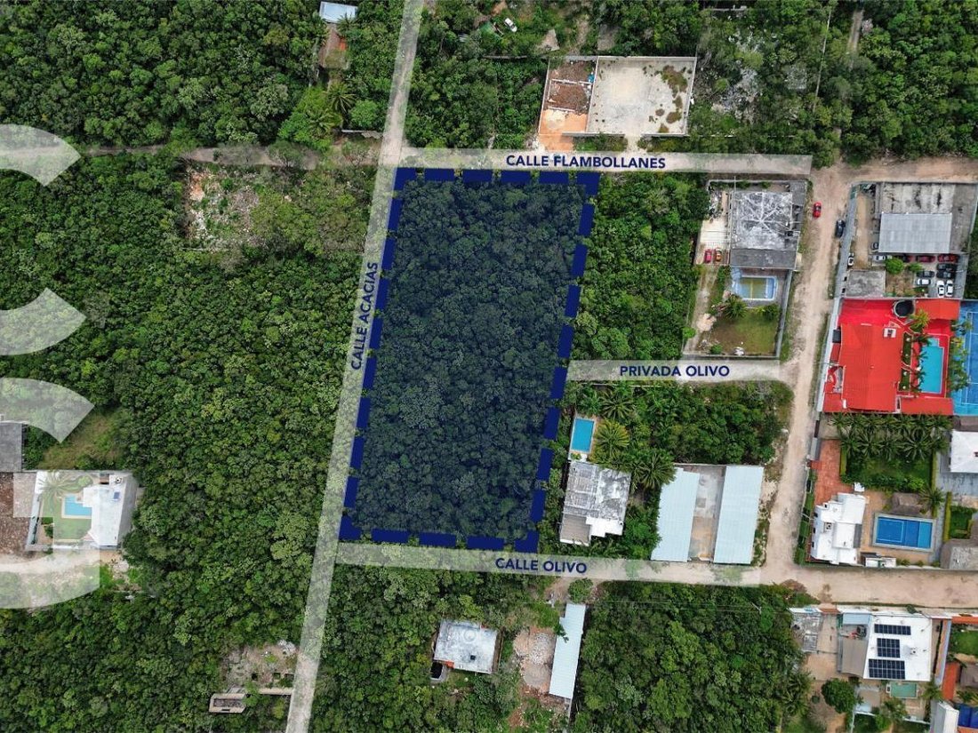 Land in Chetumal, Quintana Roo, Mexico 4 - 18695527