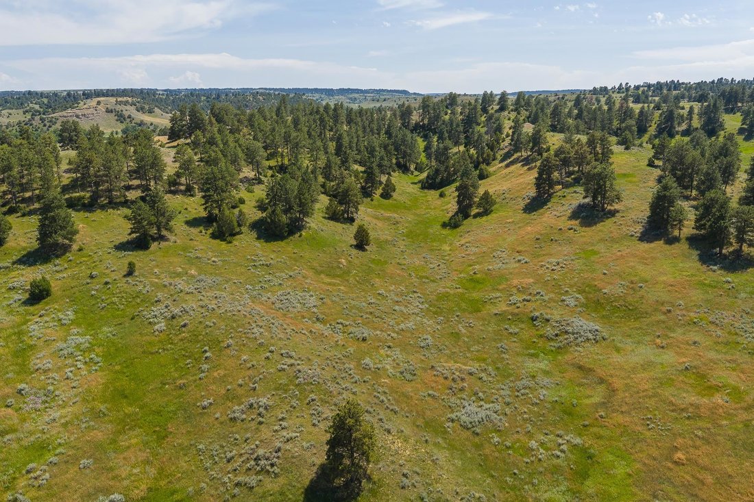 Land in Hulett, Wyoming, United States 1 - 18698153