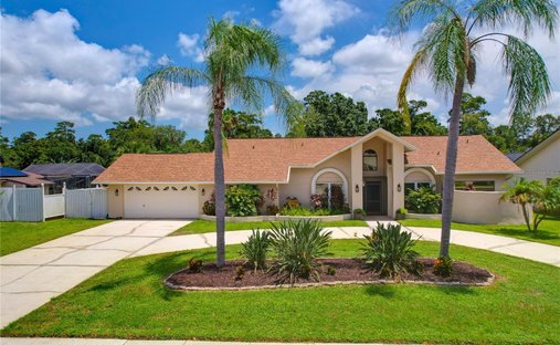 Maison à Oldsmar, Floride, États-Unis 1