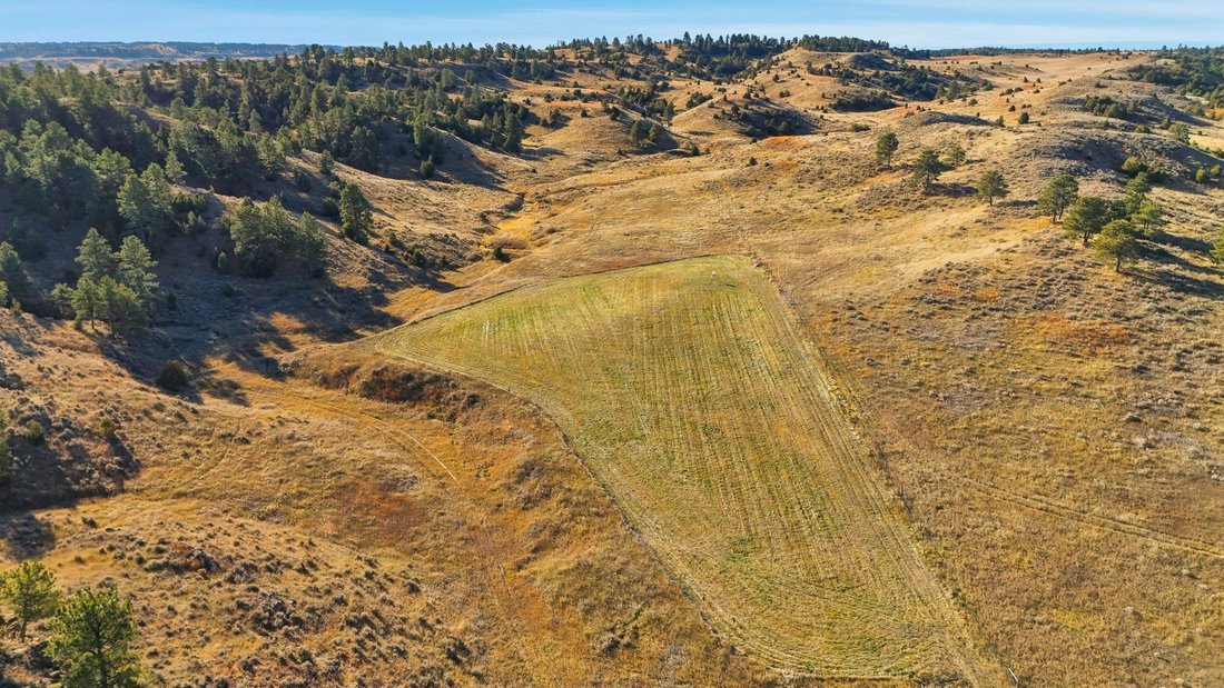 Farm Ranch in Hulett, Wyoming, United States 2 - 18698171