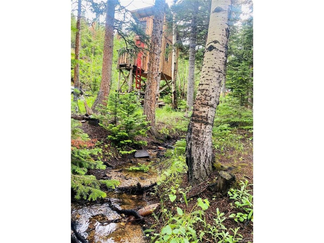 House in Nederland, Colorado, United States 5 - 18697216