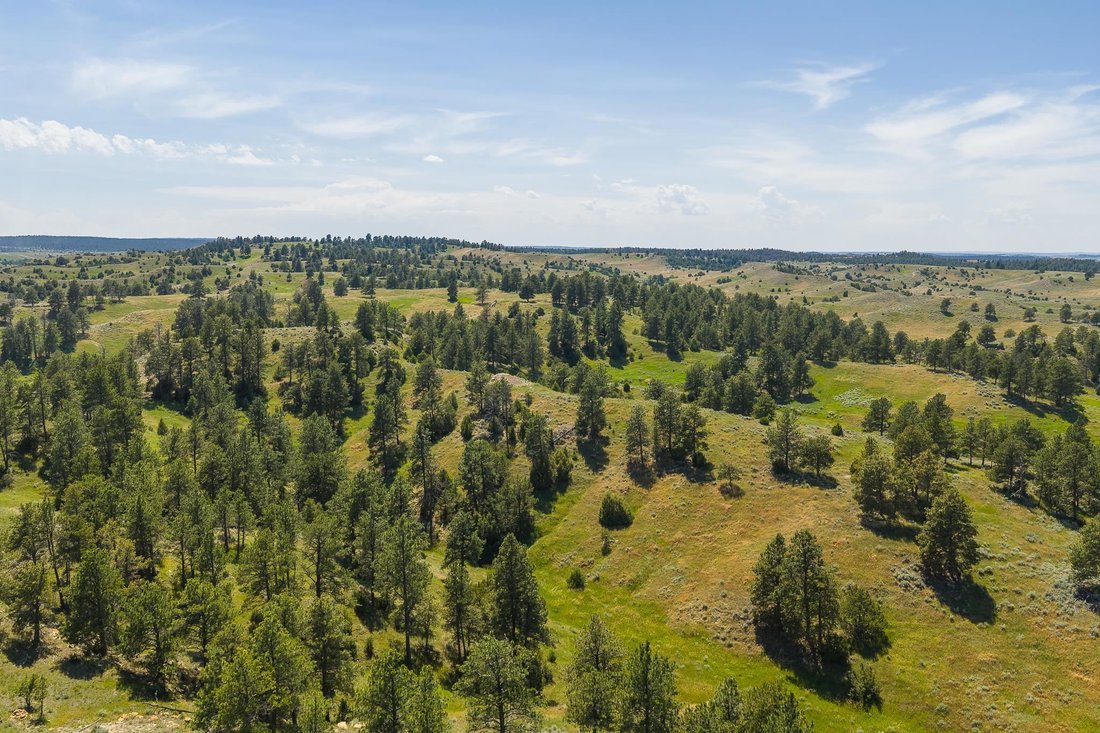 Farm Ranch in Hulett, Wyoming, United States 1 - 18698171