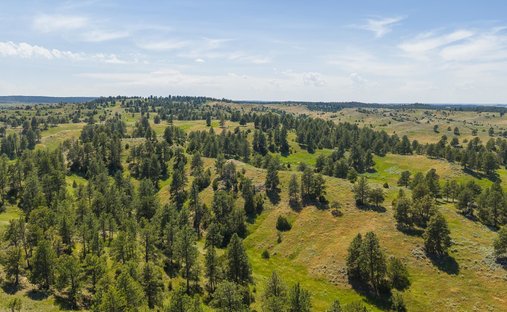 Farm Ranch in Hulett, Wyoming, United States 1