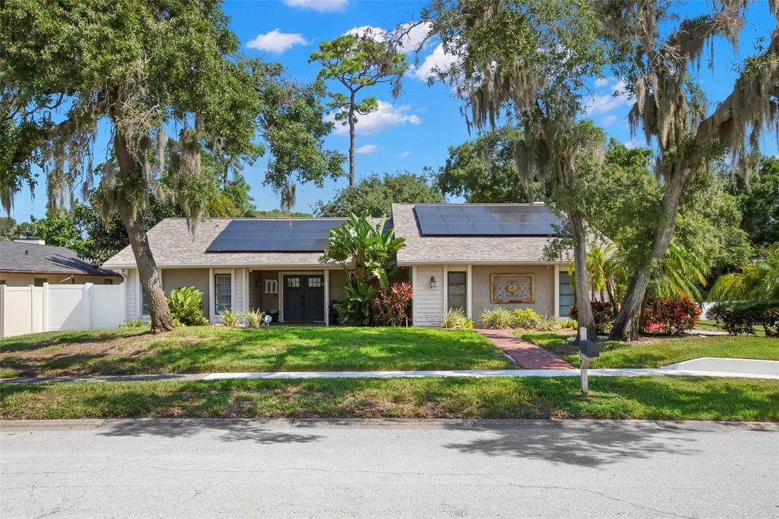 House in Palm Harbor, Florida, United States 1 - 18697599