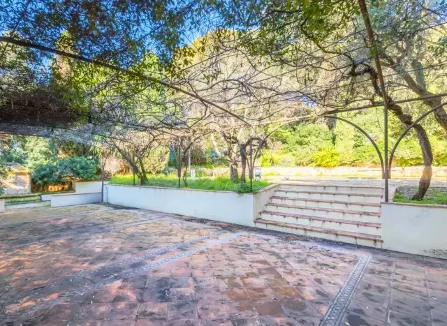 Villa in Saint-Jean-Cap-Ferrat, Provence-Alpes-Côte d'Azur, France 3 - 18358702