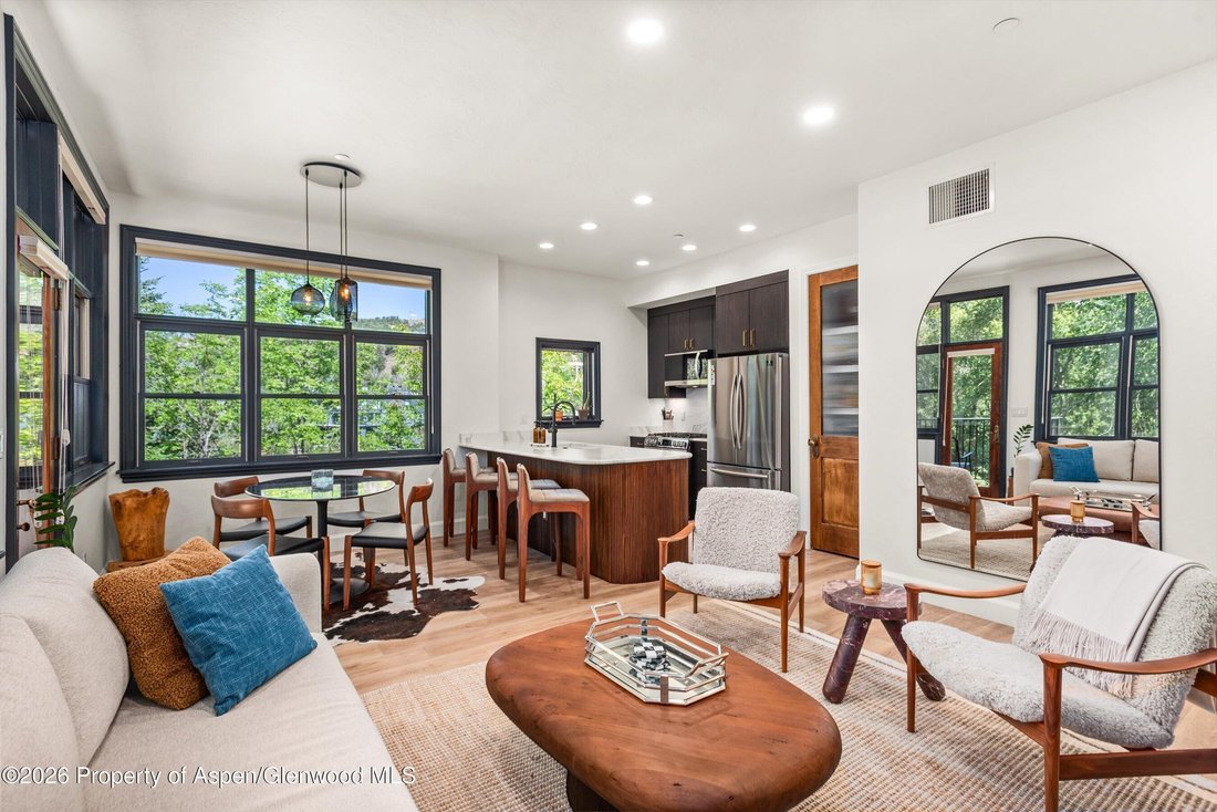 Condo in El Jebel, Colorado, United States 5 - 18699147