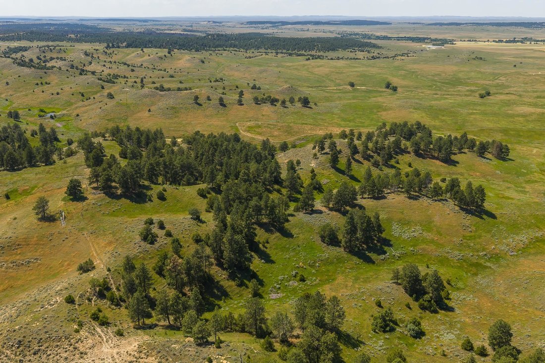 Farm Ranch in Hulett, Wyoming, United States 3 - 18698171