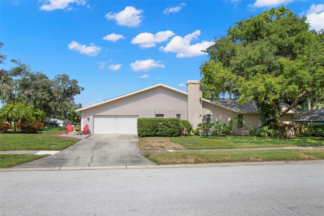 House in Palm Harbor, Florida, United States 4 - 18697599
