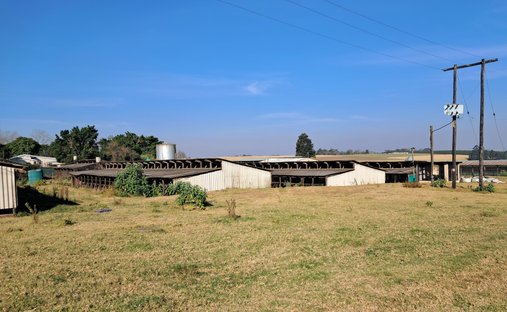 Estate in Camperdown, KwaZulu-Natal, South Africa 1