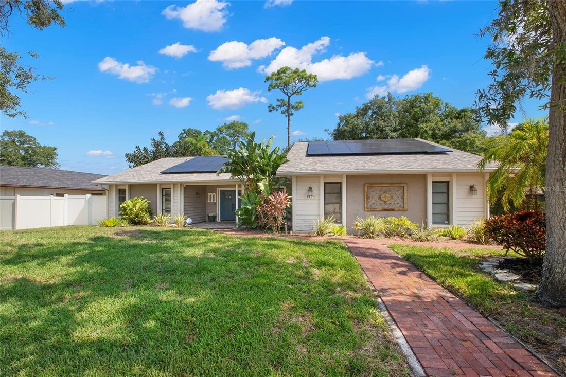 House in Palm Harbor, Florida, United States 3 - 18697599