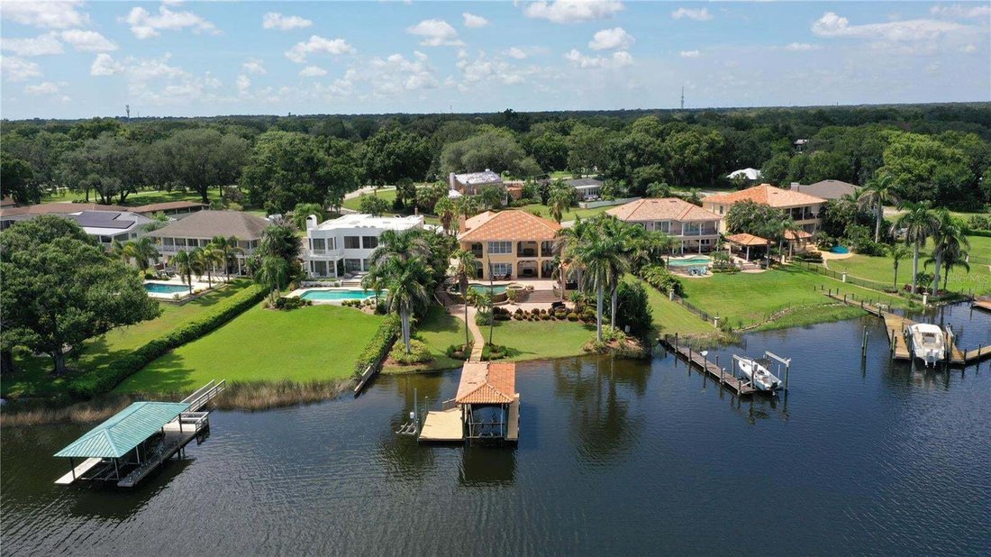 House in Tampa, Florida, United States 2 - 18697596
