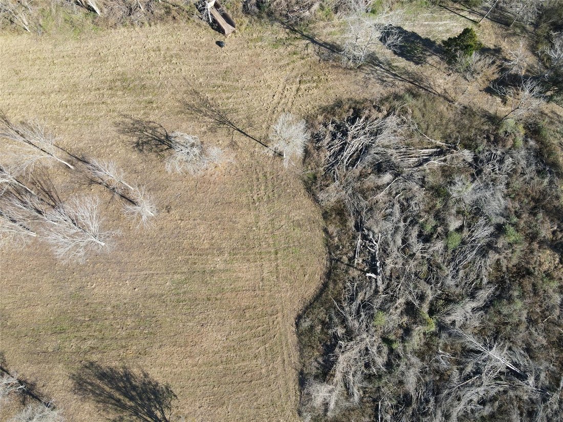 Land in Sugar Land, Texas, United States 4 - 18698033