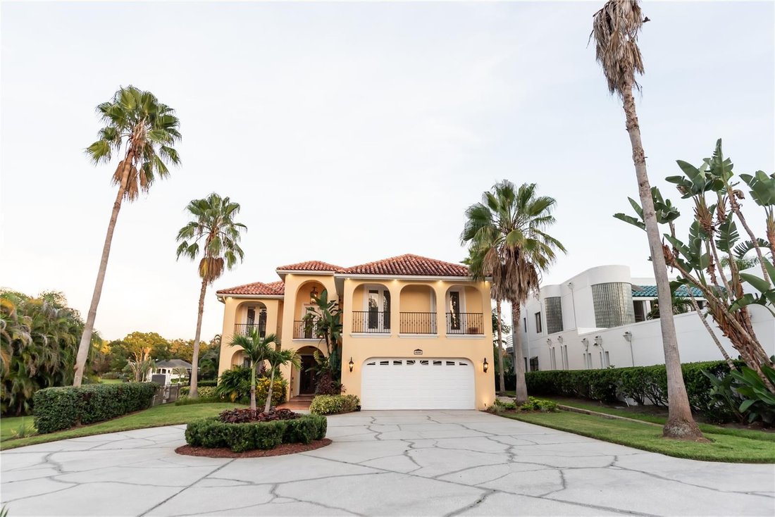 House in Tampa, Florida, United States 4 - 18697596