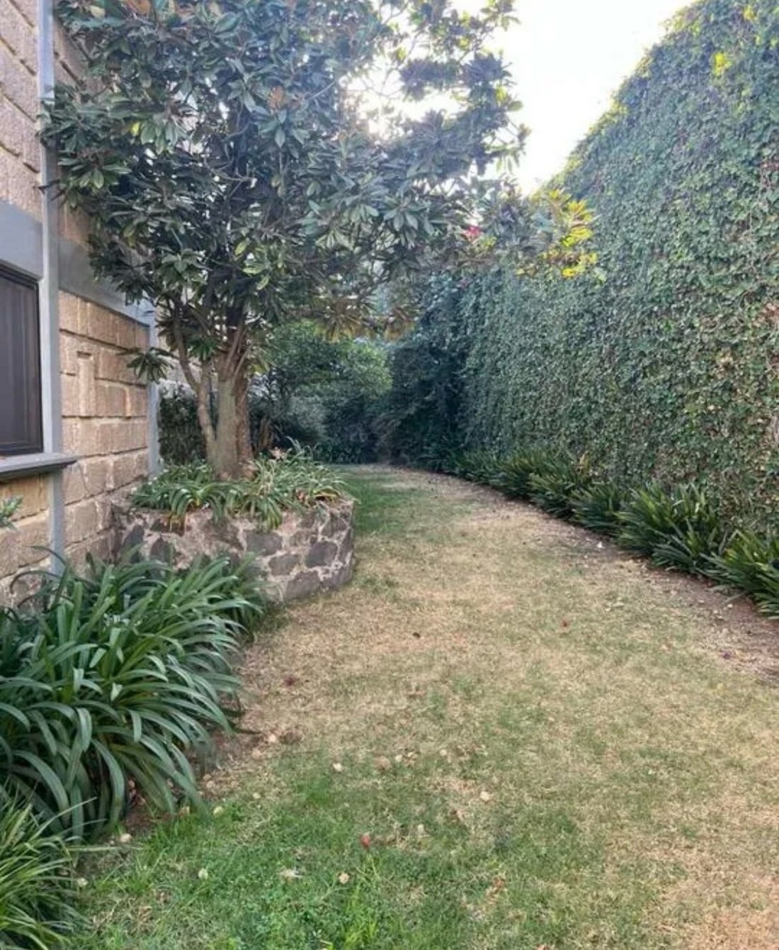 House in Mexico City, Mexico 4 - 18696228