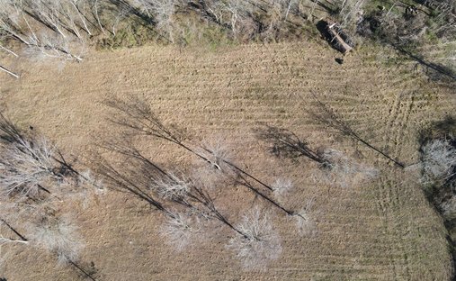Land in Sugar Land, Texas, United States 1