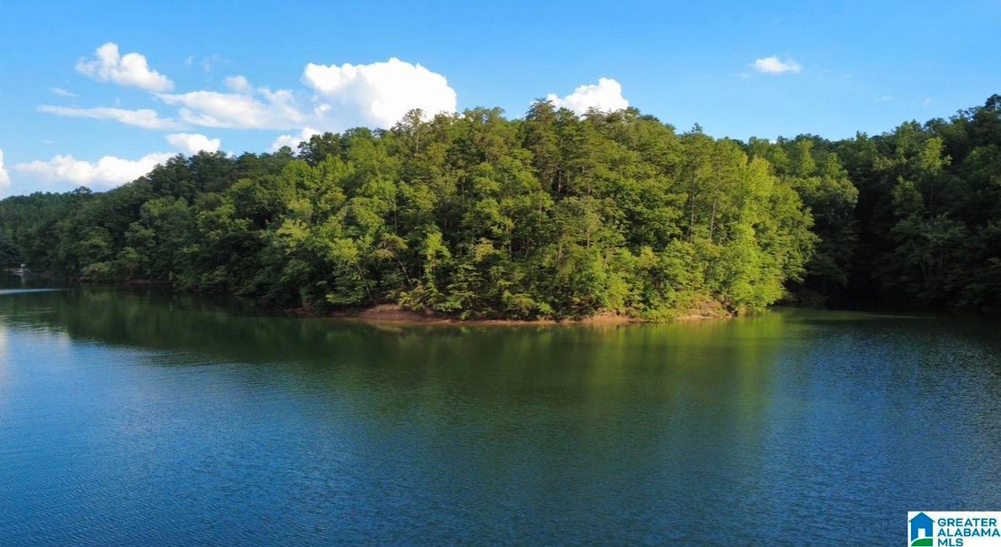 Land in Jasper, Alabama, United States 5 - 18698113