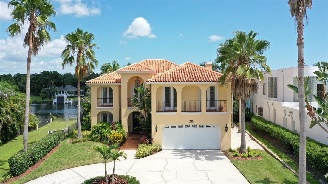 House in Tampa, Florida, United States 3 - 18697596