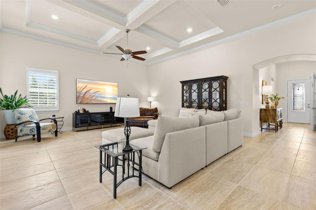 House in Palm Harbor, Florida, United States 5 - 18698053