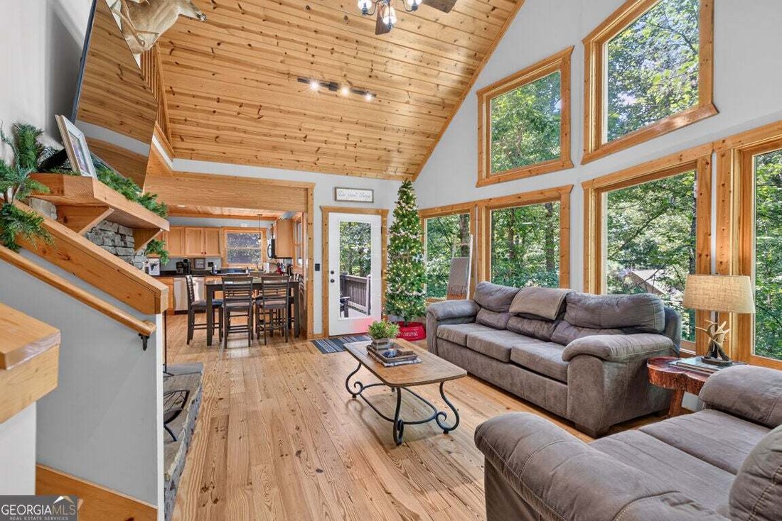 House in Ellijay, Georgia, United States 4 - 18698337