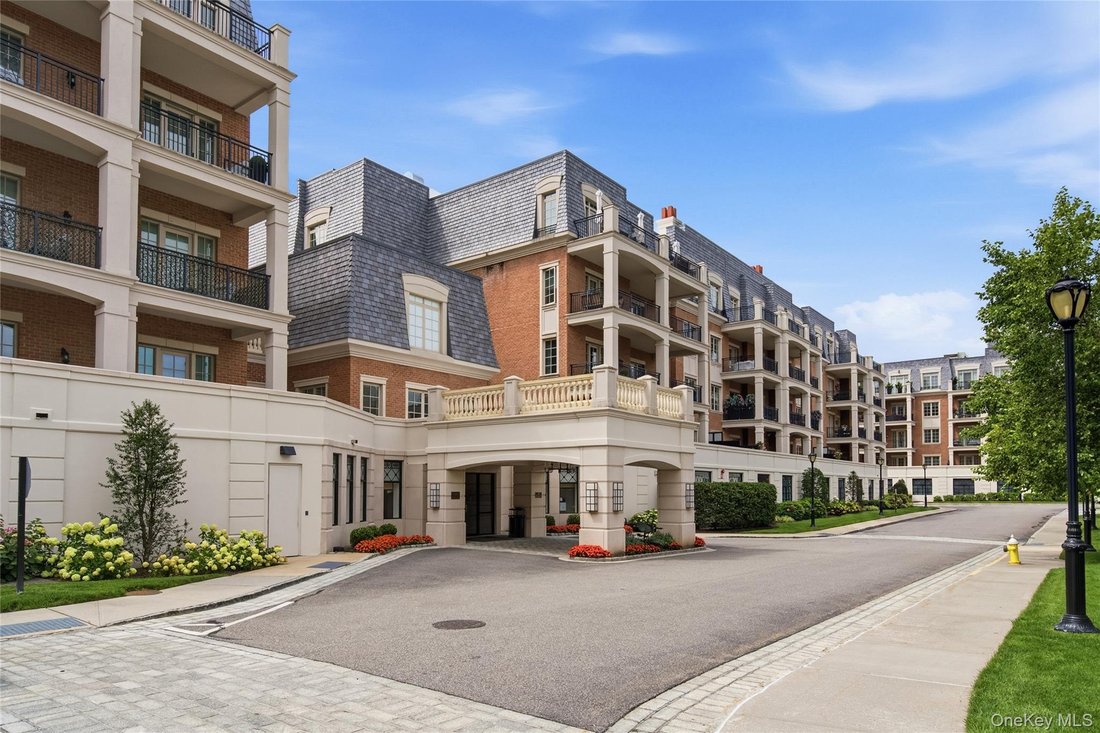 Condo in New Hyde Park, New York, United States 3 - 18698905