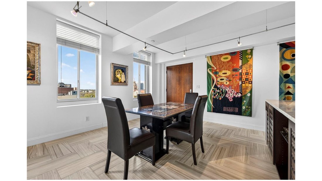 Condo in St. Petersburg, Florida, United States 5 - 17297209