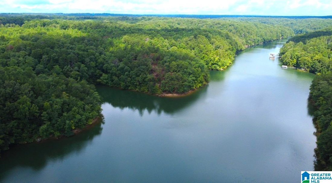 Land in Jasper, Alabama, United States 1 - 18698113