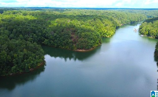 Land in Jasper, Alabama, United States 1